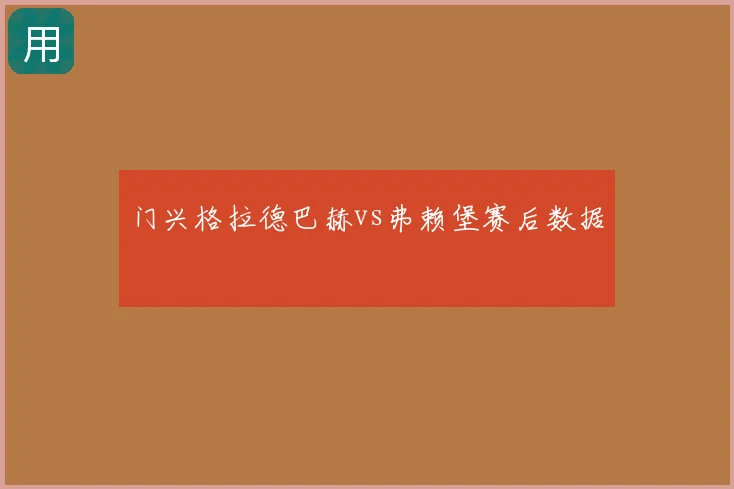 门兴格拉德巴赫vs弗赖堡赛后数据